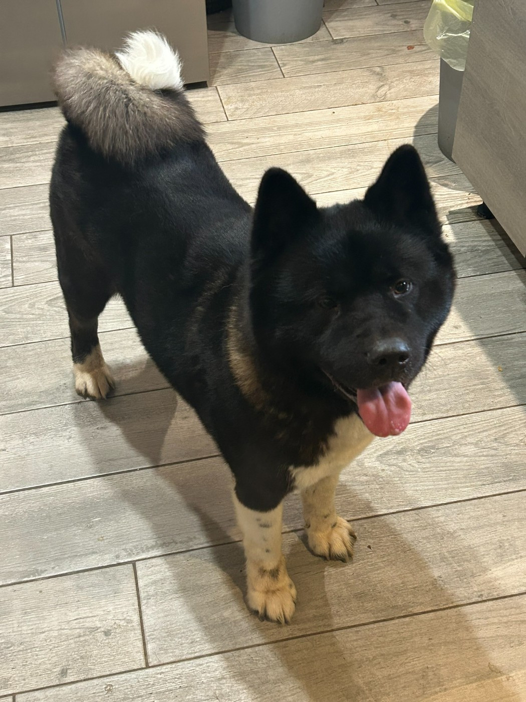 R'CHEYENNE (Sans Affixe)